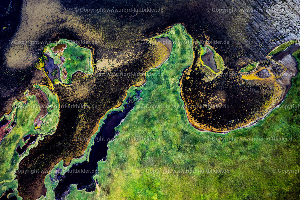 Sylt_Rantum_Rantumbecken_Salzwiesen_ELS_97803130825 | SYLT 13.08.2025 Grasflächen- Strukturen einer Feld- und Wiesen- Landschaft " Rantumbecken " in Sylt Nordsee - Insel im Bundesland Schleswig-Holstein, Deutschland. // Grass area structures of a salt marsh landscape " Rantumbecken " in Sylt North Sea Island in the state Schleswig-Holstein, Germany. Foto: Martin Elsen