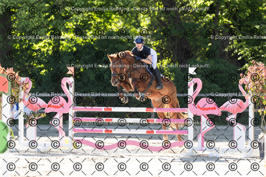 CL5A3396 | Emilia Reinking Fotografie - Realisiert mit Pictrs.com