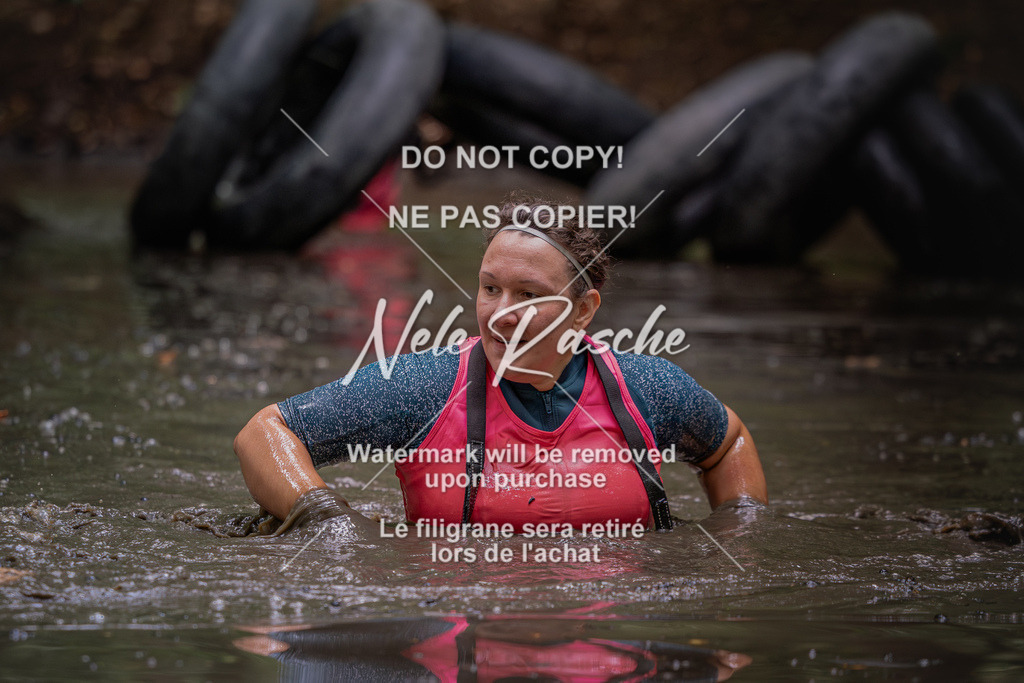 nelerasche_SaWingst1400-1500_138 | nelerasche