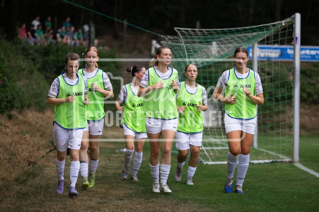 Fußball I Frauen I Testspiel I SpVg Aurich - DJK Arminia Ibbenbüren I 15296 | realhellocedii - Realisiert mit Pictrs.com