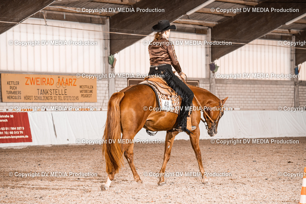 ZH100694 | dv-media-shop - Realisiert mit Pictrs.com