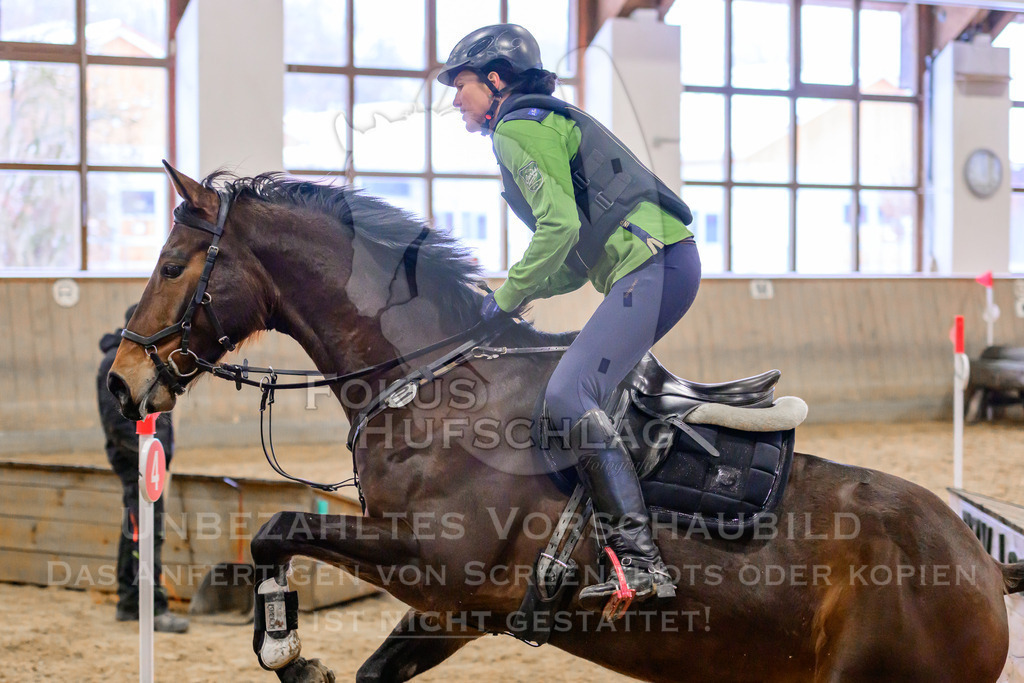 29032026-Schwaiganger-Prfg03-1-1272 | Fokus Hufschlag Fotografie - Realisiert mit Pictrs.com