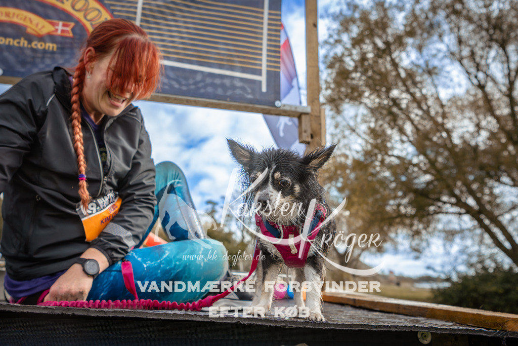 1343_ZZ92013-2 | kk-dogfotos