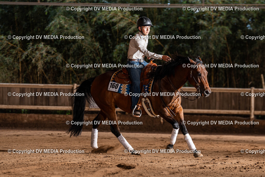 Erbach Tag 1-1213 | dv-media-shop - Realisiert mit Pictrs.com