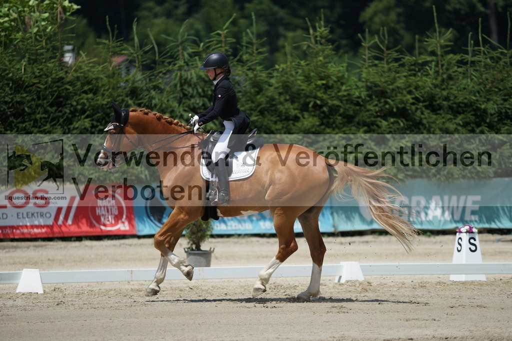 DSC05030 | equestrian-live-com