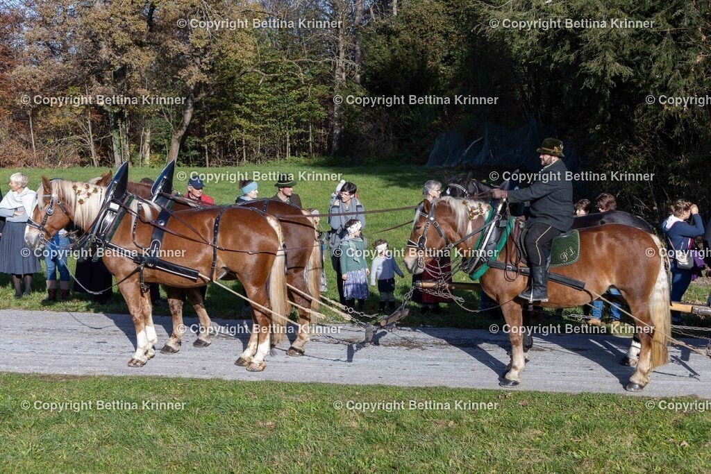 LBT24-449 | foto-bettina-krinner - Realisiert mit Pictrs.com