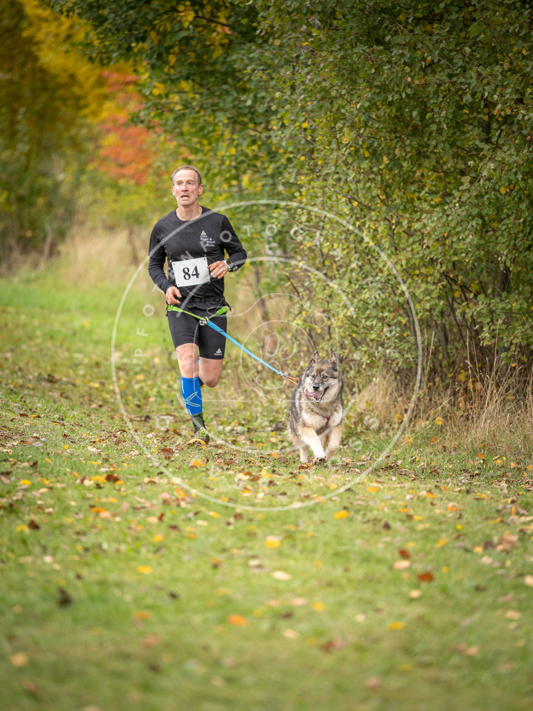 Pfotenfotografie_DV3A3110 | Hundefotografie, Tierfotograf, Pfotenfotografie, Fotoshooting Hund, Hunde Portrait, Hundesport, Hundeportraits, Heideshooting, Hunde, Sportfotograf, Hundefotograf, Turnierhundsport, THS,  - Realisiert mit Pictrs.com