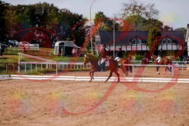 2026_10_03_Siefer-Hof_122243_Z81_21984339 | Professionelle Reitsport-, Turnier- und Eventfotografie von Robert Broda. Galerien mit ausgewählten und bearbeiteten Bildern direkt online ansehen und bestellen.