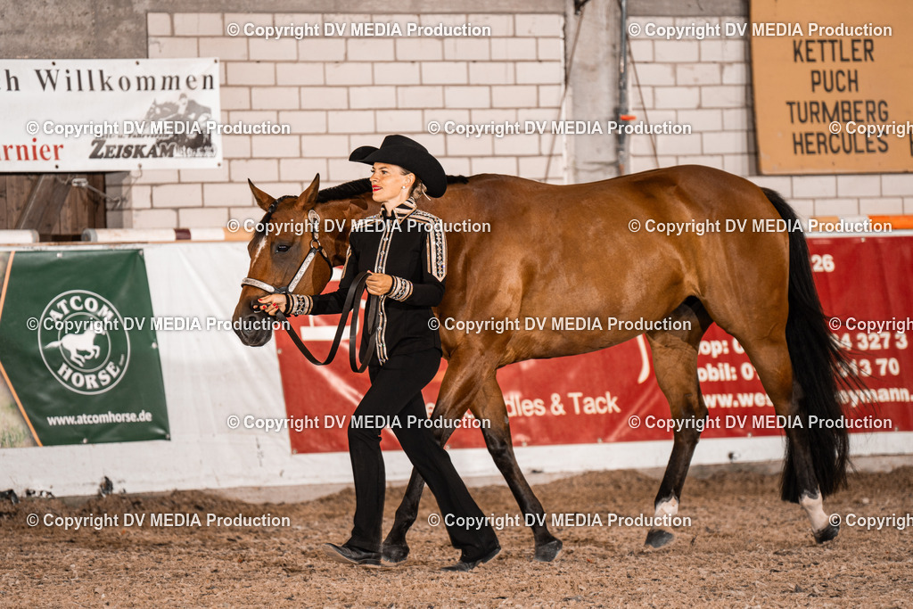 ZH200081 | dv-media-shop - Realisiert mit Pictrs.com