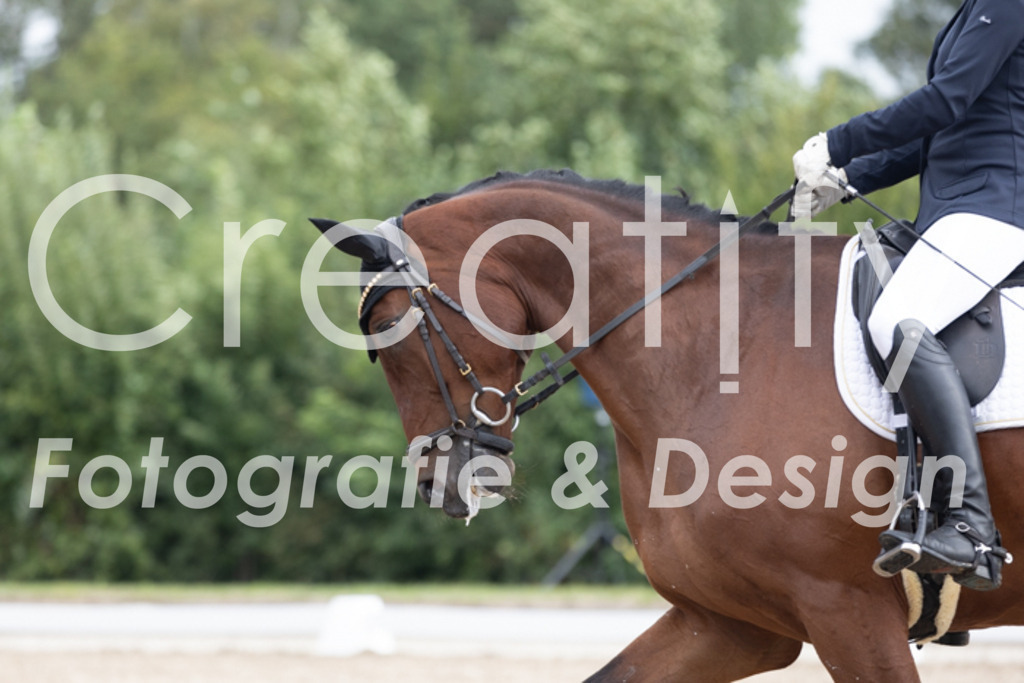 IMG_0355 | Creatify Fotografie