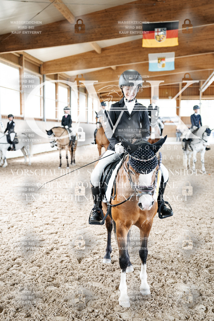 CK703361 | Turnierfotografie Pferdefotografie Trier Rheinland-Pfalz Pferdesport Reitsport Tierfotografie Sportfotografie Pferdevideo Pferdevideografie Equestrianvideography equestrianphotography  - Realisiert mit Pictrs.com