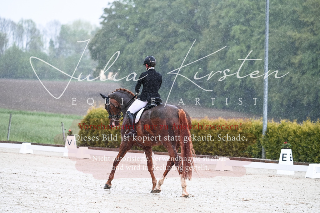 DSC_4099 | Pferde- und Turnierfotografie in Westsachsen. Pferdeportraits, Auftragszeichnungen und intuitive Kunst.