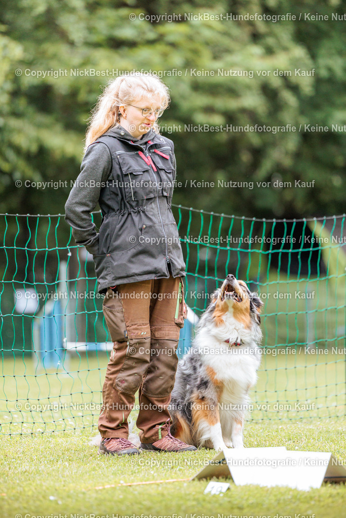 RO-Blumenthal-2026-Nickbest-Hundefotografie-2819 | Dein Hund! Dein Moment! Deine Erinnerungen! Hundefotografie in Bremen Blumenthal. Ich fange die besonderen Momente deines Vierbeiners ein – ob Indoor mit Blitzanlage oder in der freien Natur. Sicher dir dein Moment und dein Termin für eure Erinnerungen.
