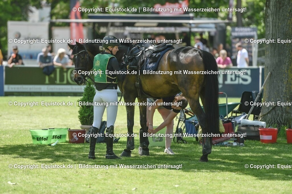 20230527_27_CCI4_Gelände_0120 | equistock