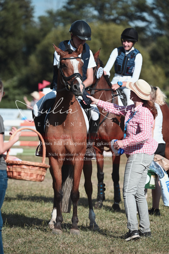 DSC_8855 | Pferde- und Turnierfotografie in Westsachsen. Pferdeportraits, Auftragszeichnungen und intuitive Kunst.