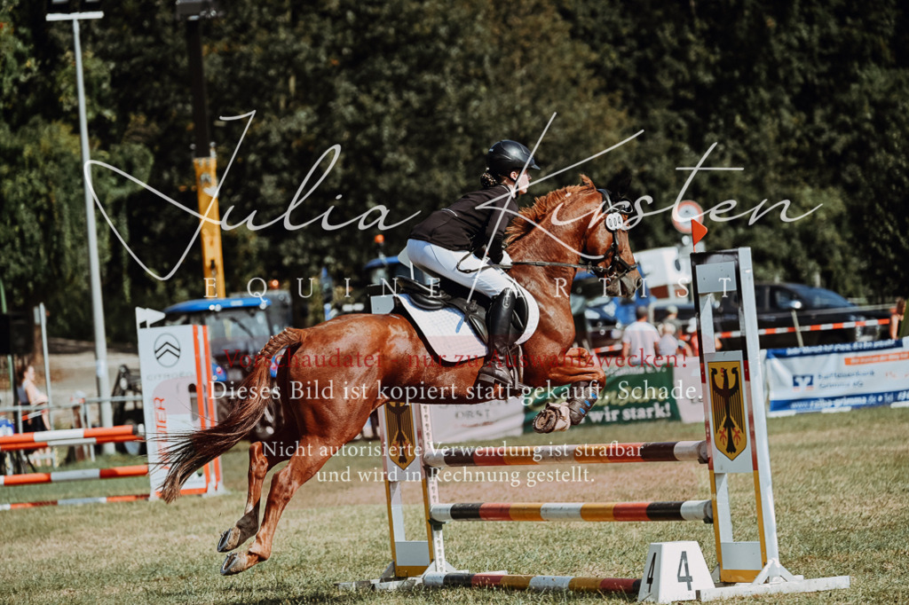 DSC_9372 | Pferde- und Turnierfotografie in Westsachsen. Pferdeportraits, Auftragszeichnungen und intuitive Kunst.