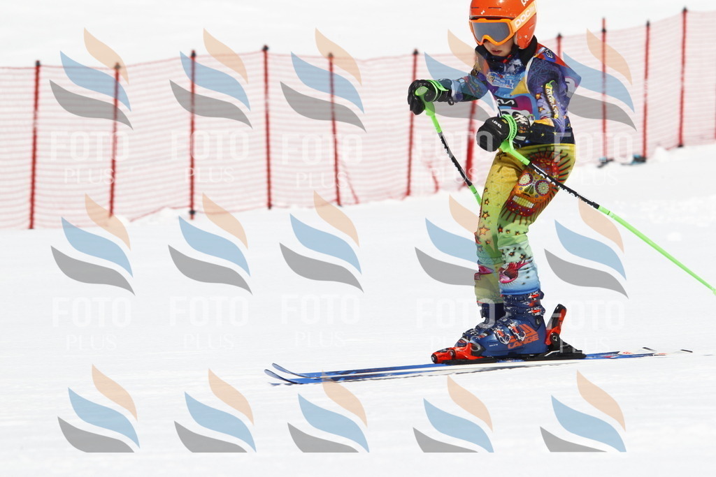 _U3G4331 | holidayphoto