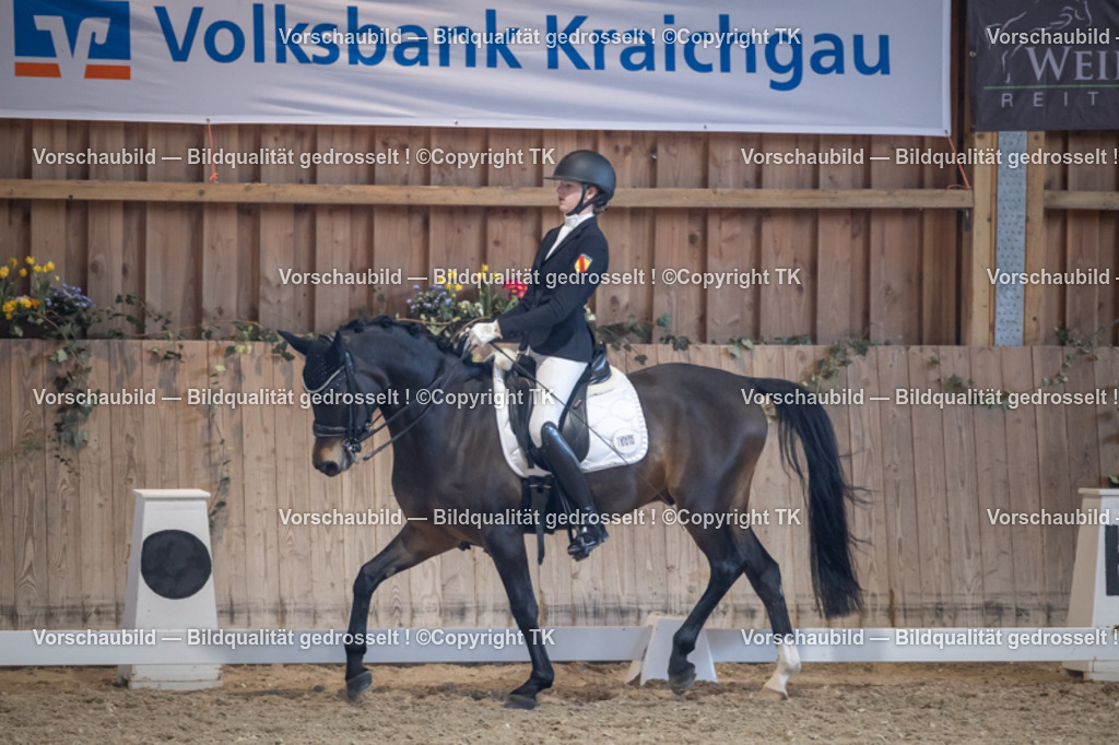 _D5A5164 | Emotionale Pferde- & People-Fotografie rund um Heidelberg, Leimen & Umgebung. Natürliche Fotos von Pferd, Mensch & Familie. Jetzt Termin sichern!