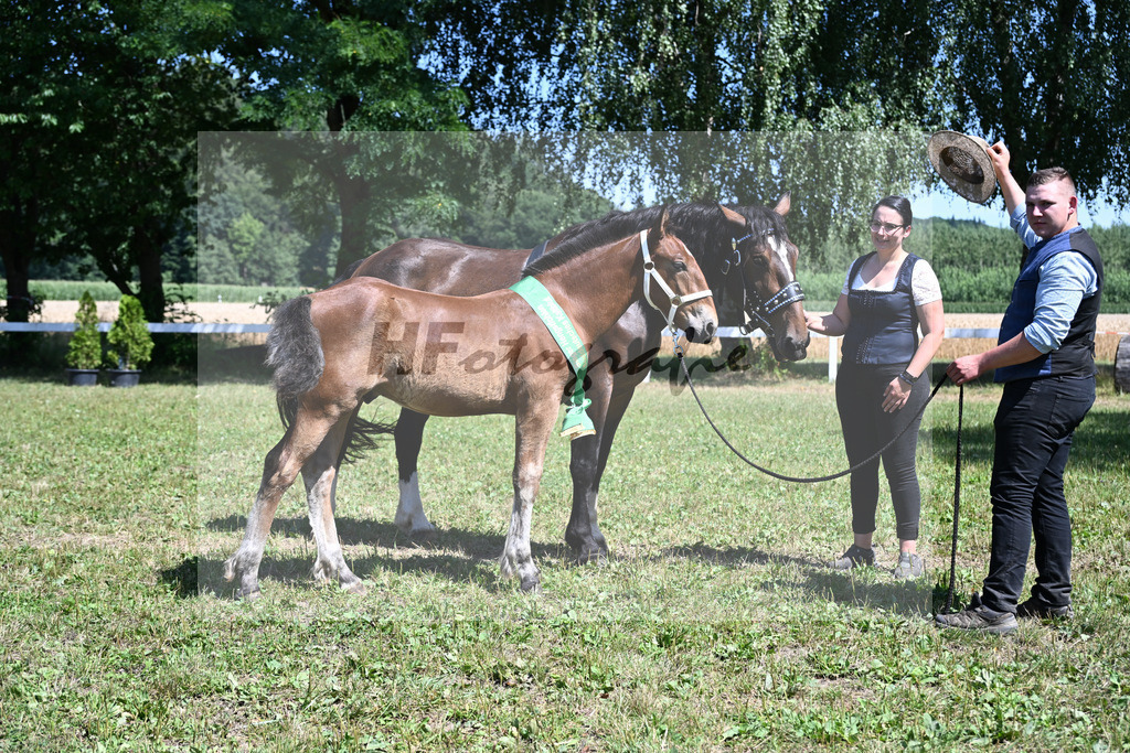 Kat-Nr. 28 HF v. Sir Lueftenegg x Navajo_Neumaier_22250840 | hf-fotografie - Realizzato con Pictrs.com