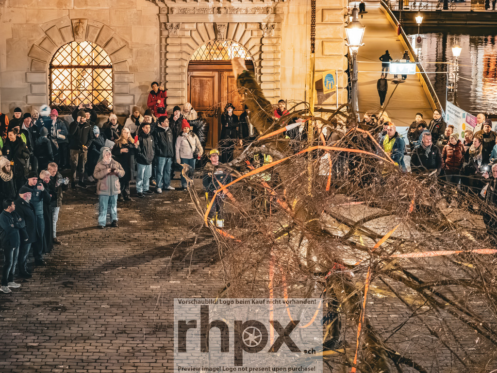 Guuggerbaum 2026 | Stimmungsvolle Fotokunst aus Luzern. Erlebe den Pilatus, den See und die Stadt Luzern in exklusiven Aufnahmen in der Fotogalerie & Shop. - Realisiert mit Pictrs.com