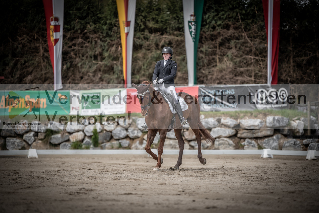 DSC_2837 | equestrian-live-com