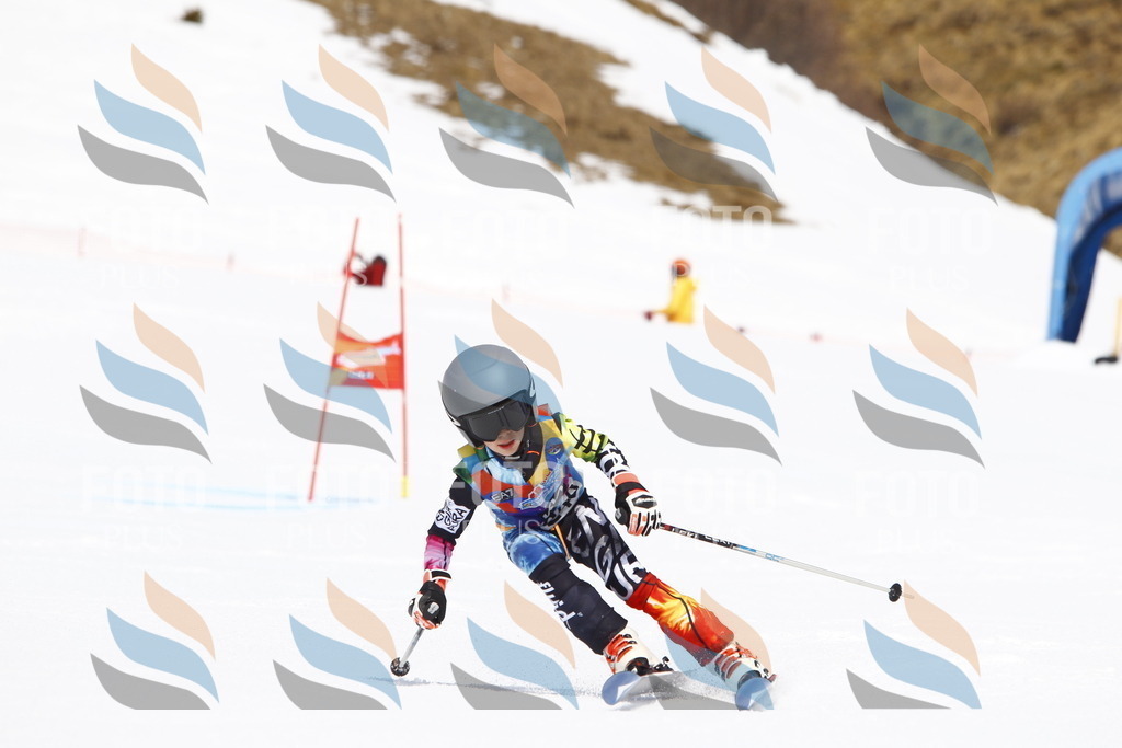 _U3G6101 | holidayphoto