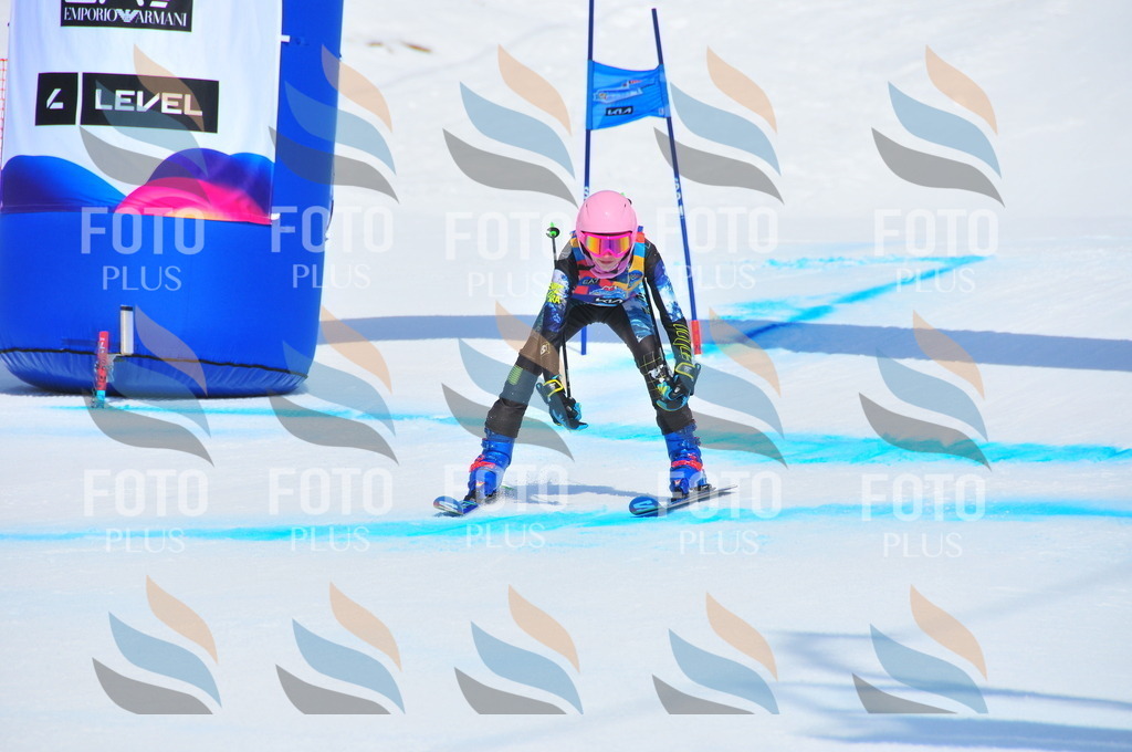 DSC_5249 | holidayphoto