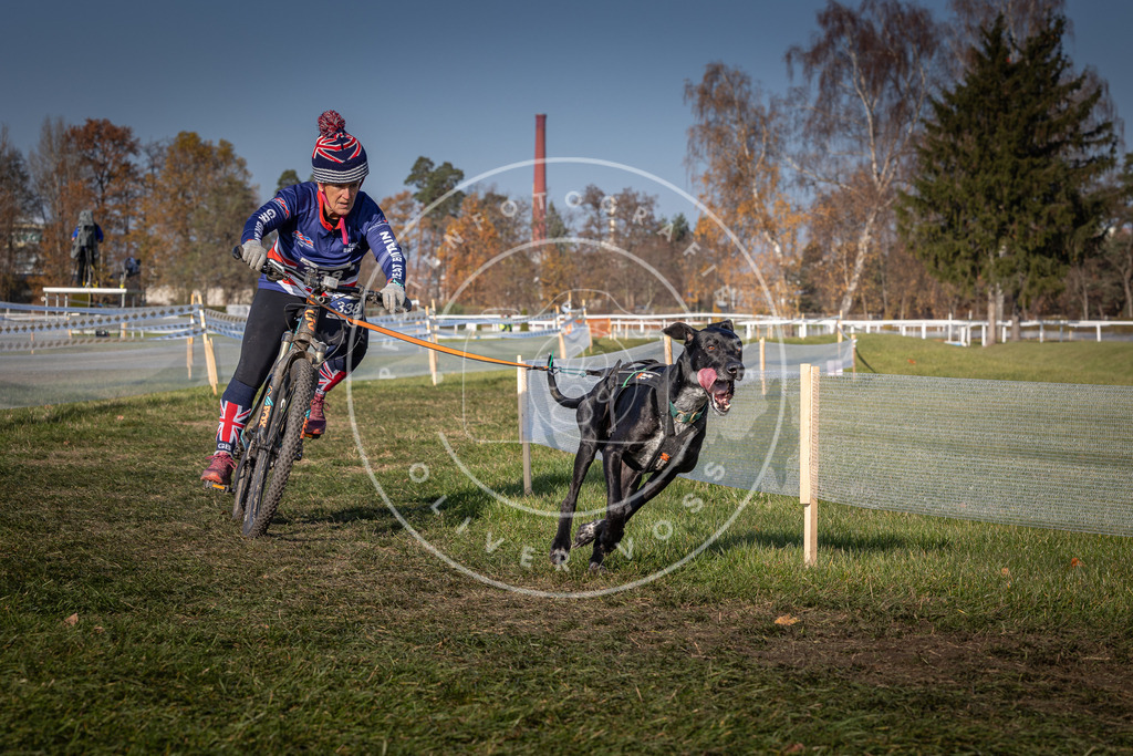 CaniXpix_0L8A7681 | Hundefotografie, Tierfotograf, Pfotenfotografie, Fotoshooting Hund, Hunde Portrait, Hundesport, Hundeportraits, Heideshooting, Hunde, Sportfotograf, Hundefotograf, Turnierhundsport, THS,  - Realisiert mit Pictrs.com