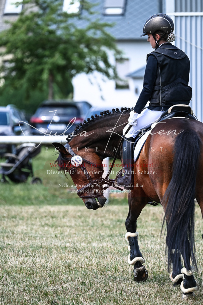 DSC_9659 | Pferde- und Turnierfotografie in Westsachsen. Pferdeportraits, Auftragszeichnungen und intuitive Kunst.