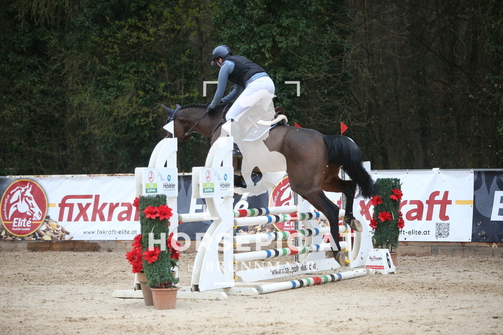 AS8V1502 | Willkommen bei Brunnmayr - Design & Fotografie – Ihrem Spezialisten für Reitturniere und Pferdeveranstaltungen in Oberösterreich, Salzburg und Bayern! Seit über 17 Jahren sind wir leidenschaftlich dabei.