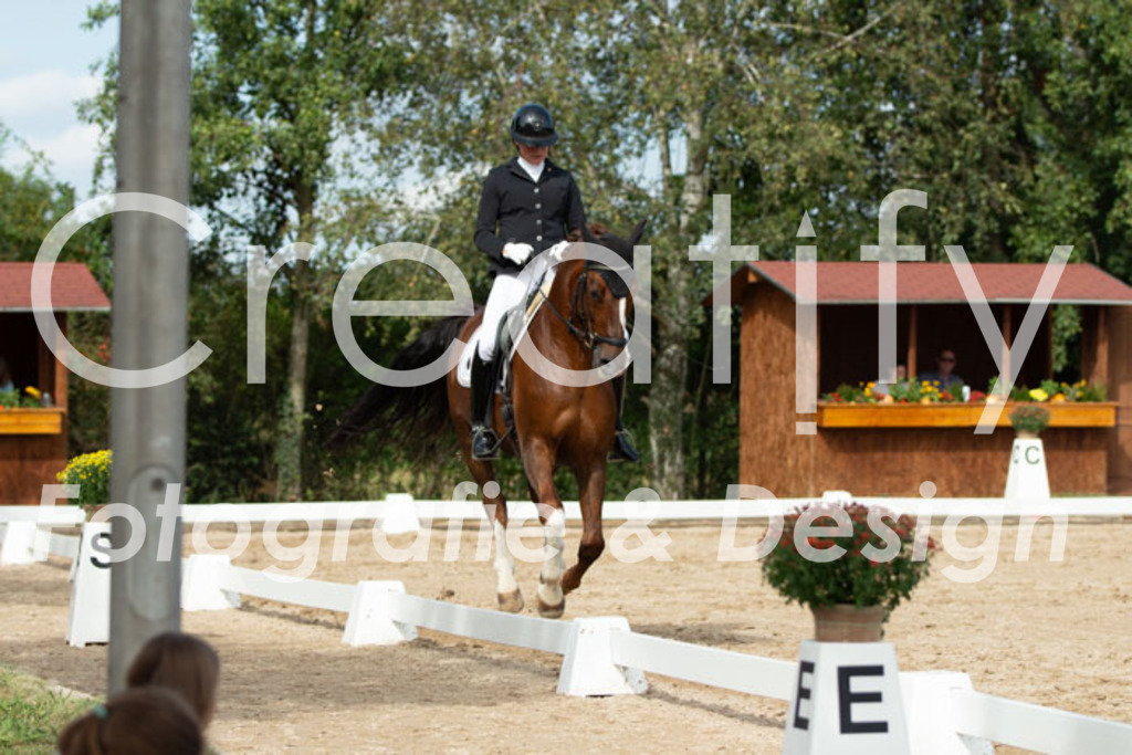 IMG_3515 | Creatify Fotografie