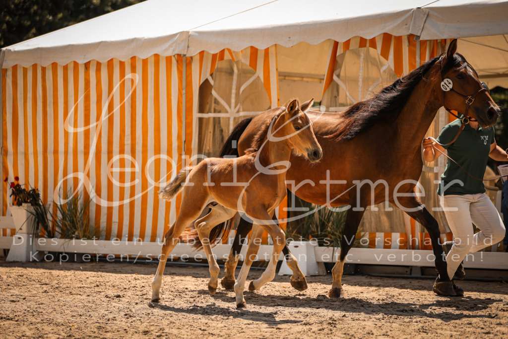 03.DoAB00028 | Leoni Ertmer Photography - Realisiert mit Pictrs.com