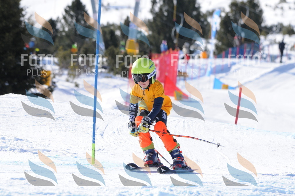 C7100 | holidayphoto