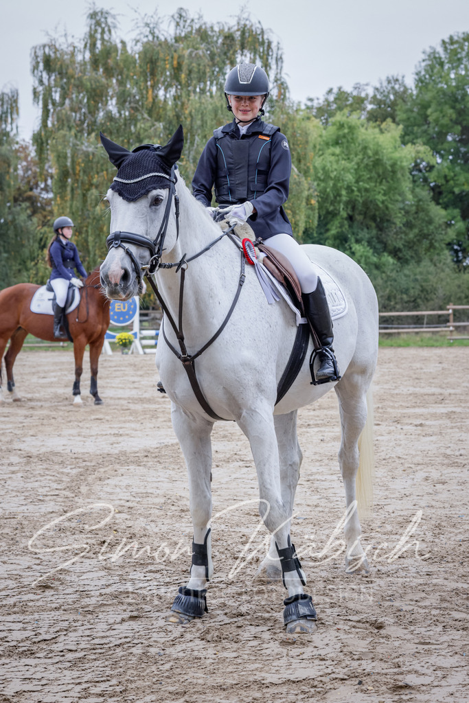 20251012-_3LI3019 | Tierfotografie Pferde, Hunde, Katzen, Haustiere.
Turnierfotografie Reitturniere, Reiten, Springreiten, Dressur in Hanau, dem Main-Kinzig-Kreis und dem Rhein-Main- Gebiet um Frankfurt