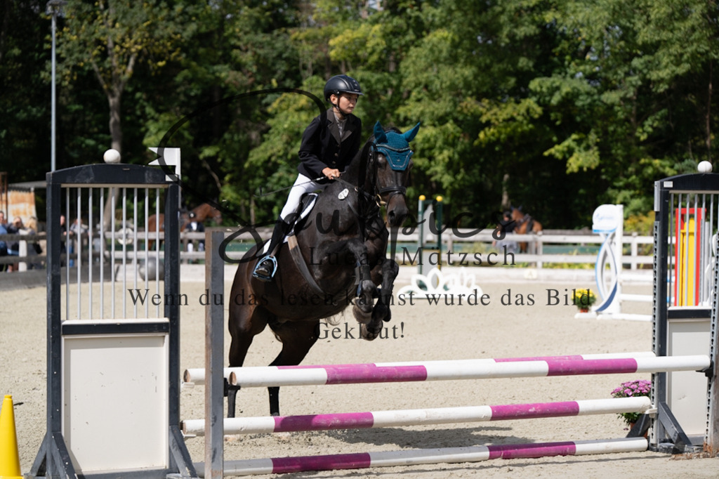 A7V07297 | Turnier/Reitfotograf