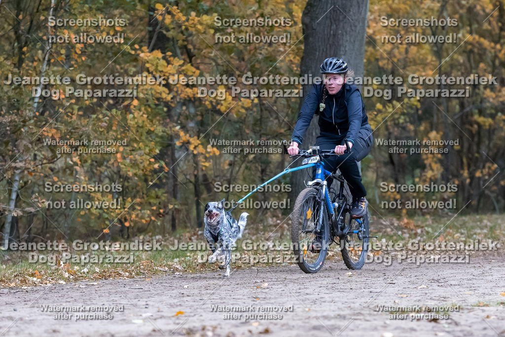 Dog Paparazzi - SD CaniX Championship 2025-274 | Dog Paparazzi Jeanette Grottendiek Fotografie & Videografie - Realisiert mit Pictrs.com