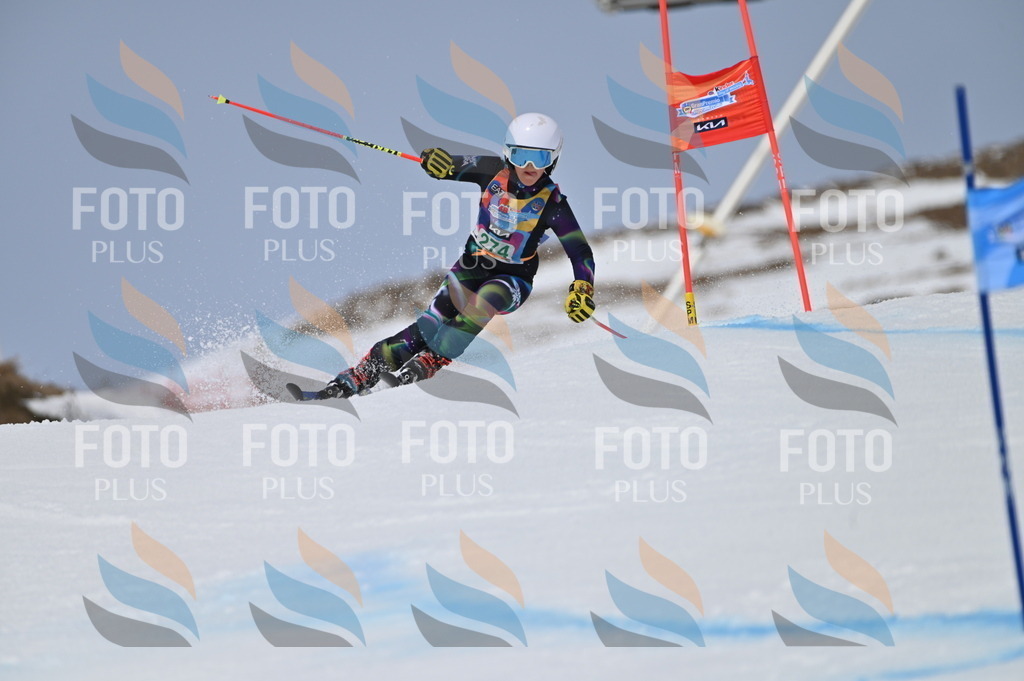 BGV_5418 | holidayphoto