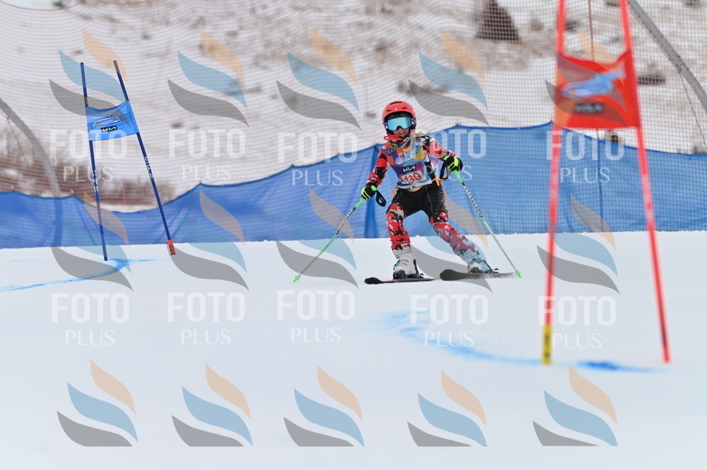 BGV_1364 | holidayphoto