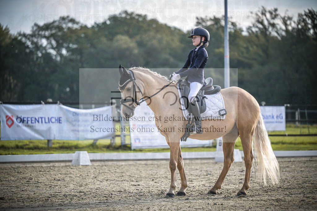 DOS_4912 | Entdecke hochwertige Reitturnierfotos von Foto Oger. Professionell, emotional und authentisch – jetzt Lieblingsmomente im Shop bestellen.Deutschlandweite Turnierfotografie. - Realisiert mit Pictrs.com
