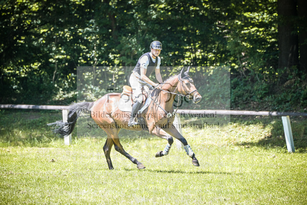 DOS_2161 | Entdecke hochwertige Reitturnierfotos von Foto Oger. Professionell, emotional und authentisch – jetzt Lieblingsmomente im Shop bestellen.Deutschlandweite Turnierfotografie. - Realisiert mit Pictrs.com