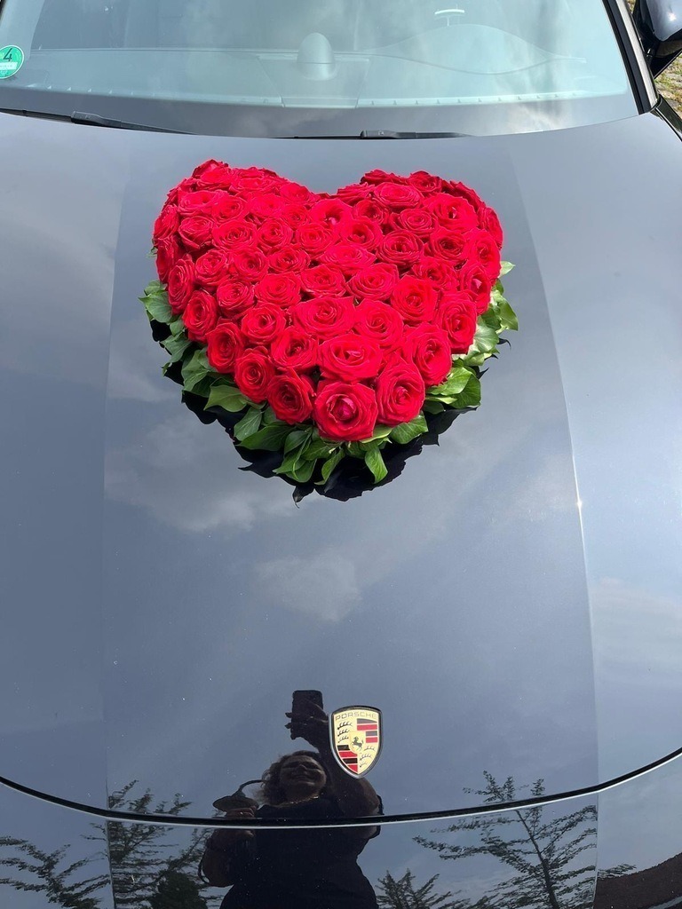 d77933da-0c3b-460f-ad14-9c2361e48bb0 | traudl_s_fotos