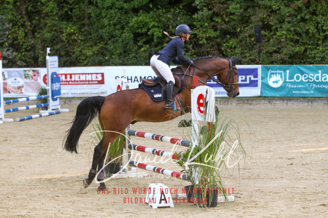 DKP42685 | Turniersportfotografie; Pferdefotografie; Dressurfotografie