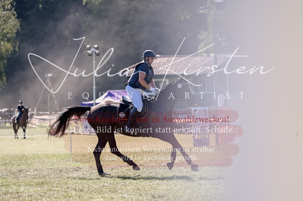DSC_3322 | Pferde- und Turnierfotografie in Westsachsen. Pferdeportraits, Auftragszeichnungen und intuitive Kunst.
