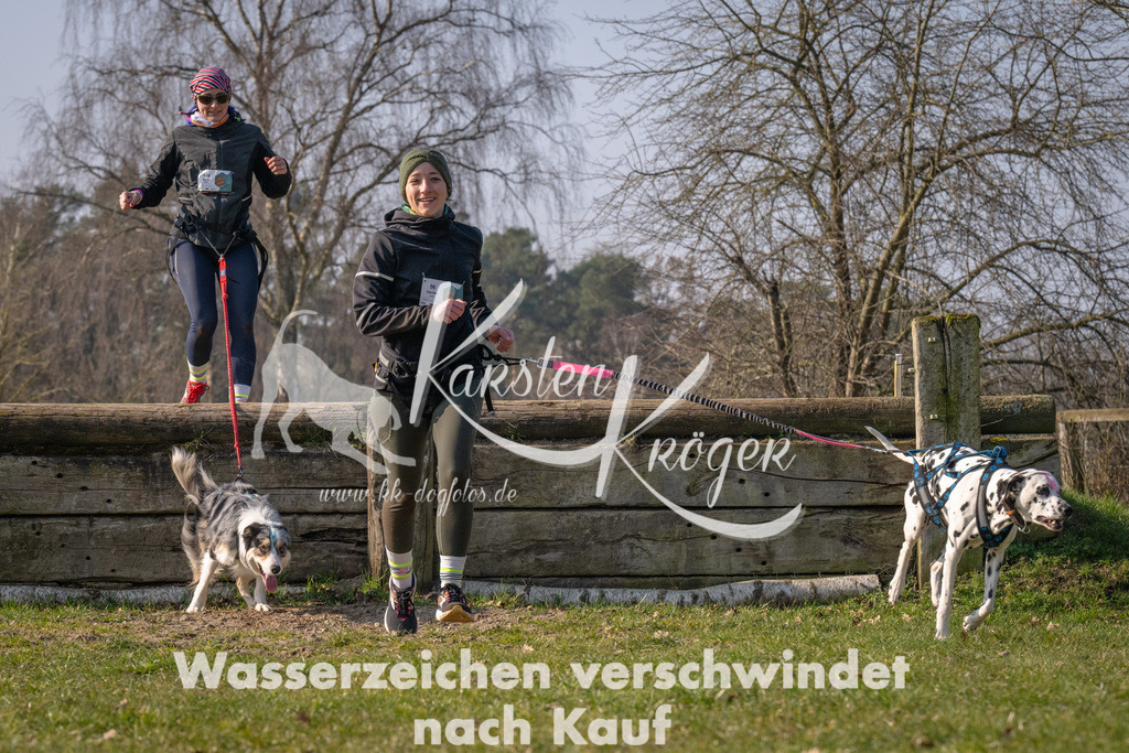 _ZZ94303 | kk-dogfotos