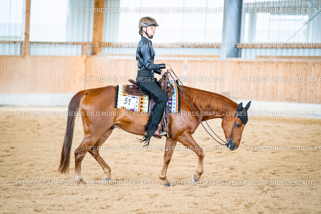 DSC02590 | Pferdegrafie