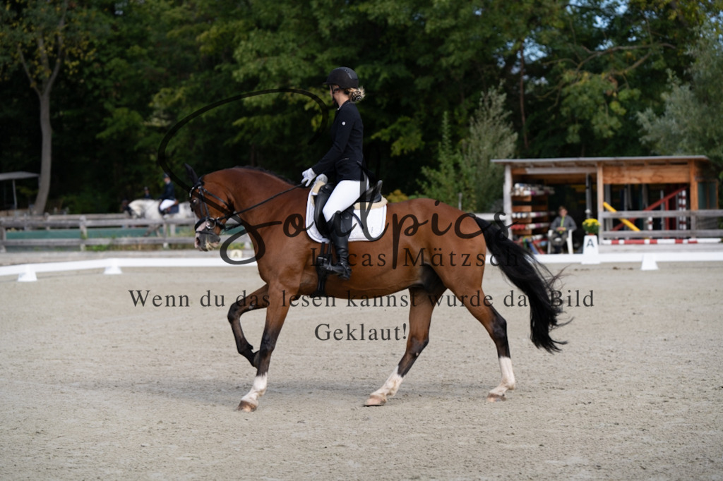 A7V06817 | Turnier/Reitfotograf