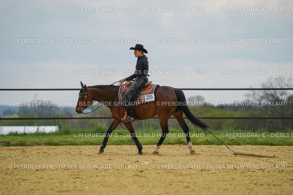 DSC07678 | Pferdegrafie