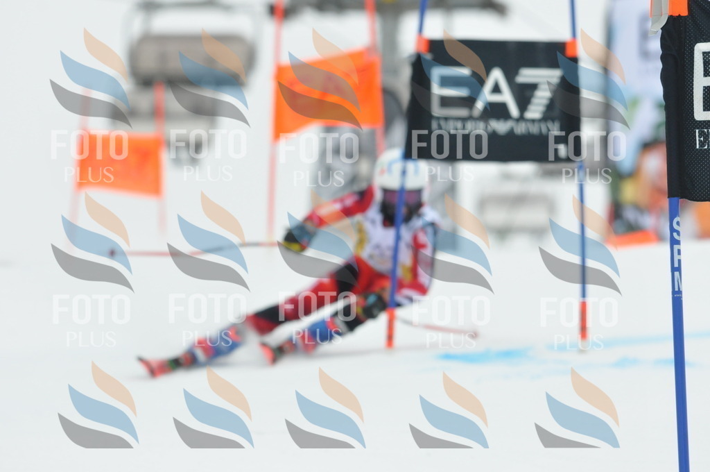 DSC_8524 | holidayphoto