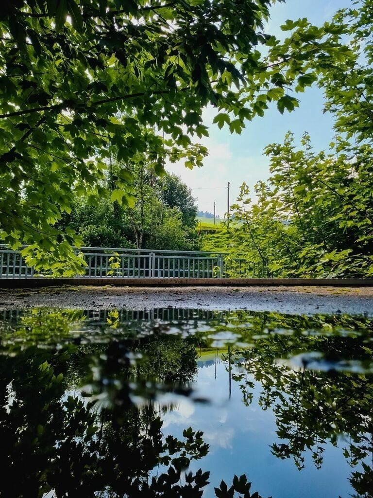 PSX_20220622_222002 | mtkfoto_ - Realisiert mit Pictrs.com