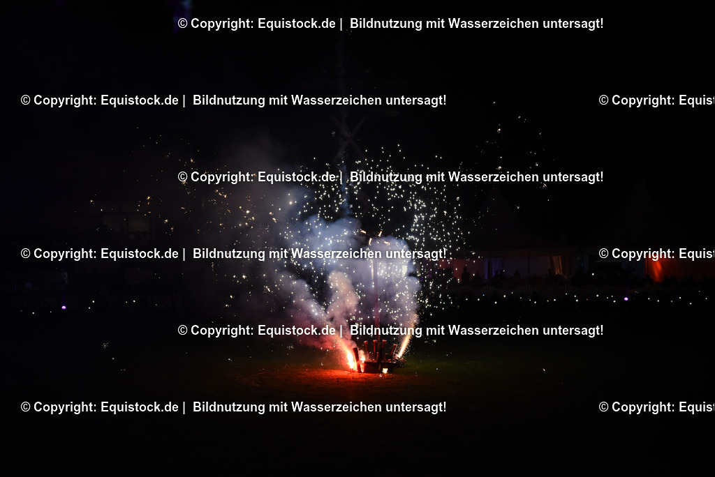 20230526_Pferdenacht_1626 | equistock